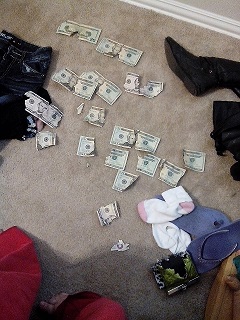 My Dog Ate My Money