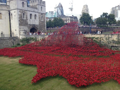 These red poppies at the Tower of London represent all of the English citizens whose lives were lost during World War I.