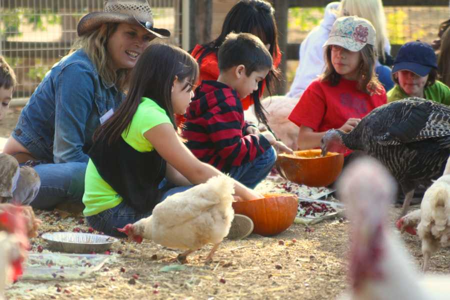 Vegan Thanksgiving