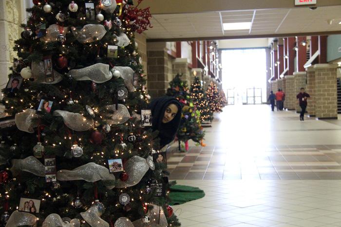 What is that peeking from behind the trees? Oh, it's just Hiba.