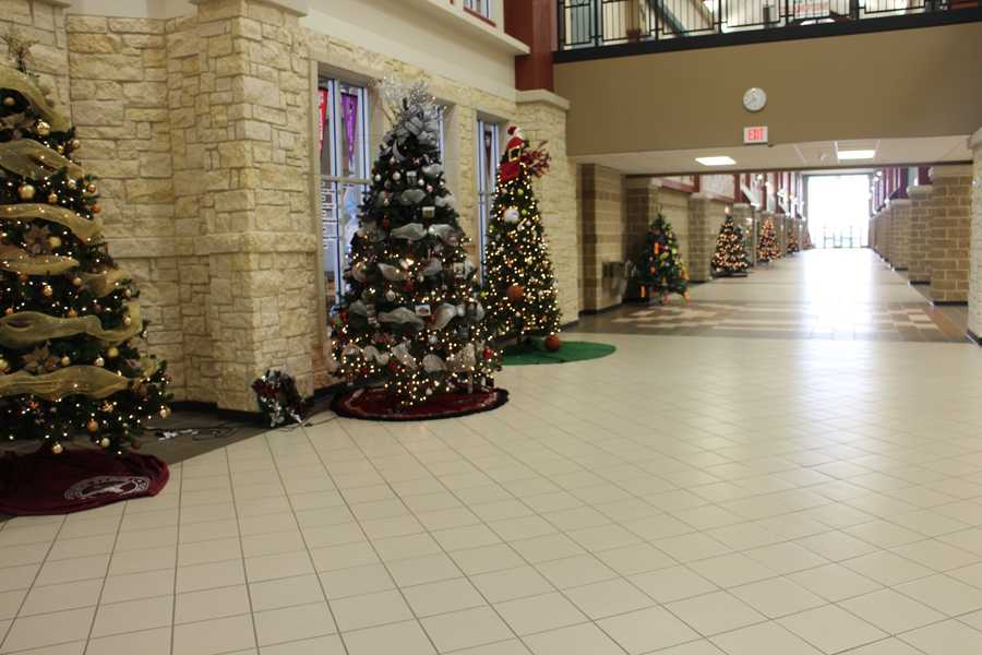 Holiday Trees In Hallway