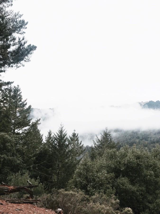 At Mount Tamalpias