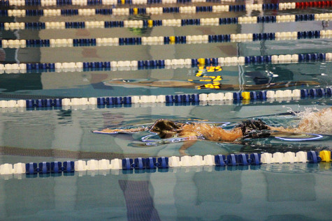 Swimmer Aaron O'reilly emerges from the water