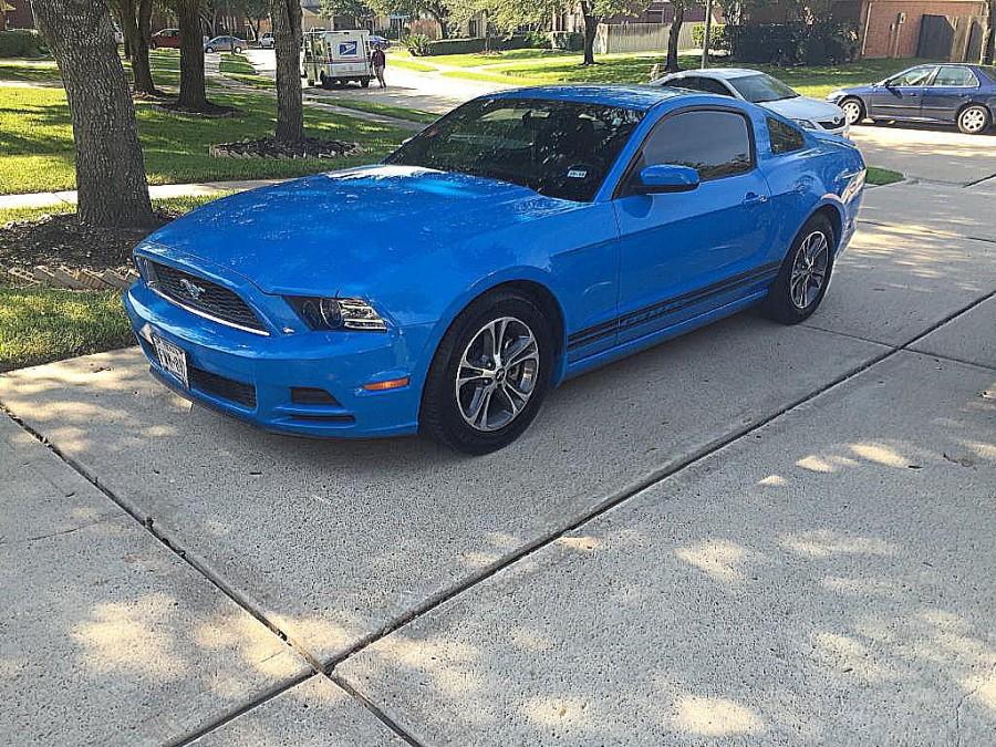 Blue Mustang