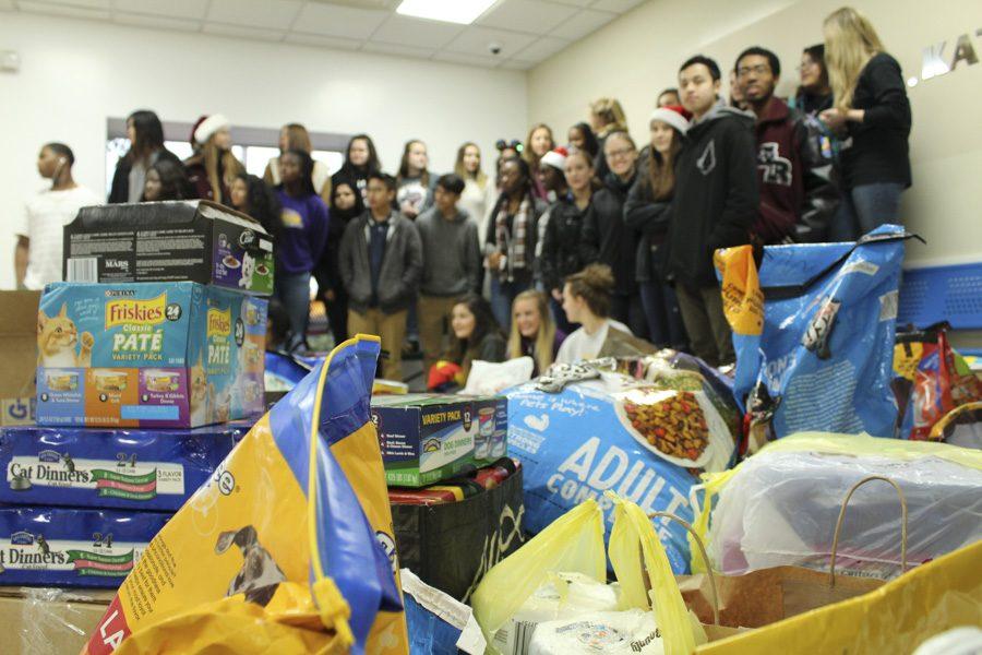 Group photo of the HOSA members that helped bring in the donations for the pet shelter.