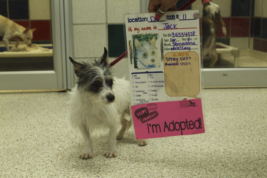 Houston Humane Society; Adoption Center