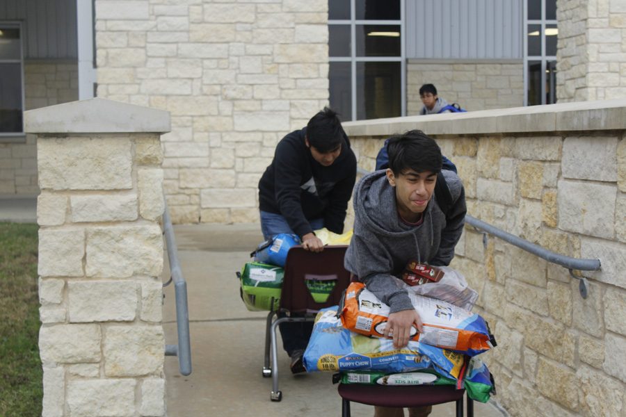 Boys attempt to quicken the process of loading up as well as have a bit of fun before leaving school.