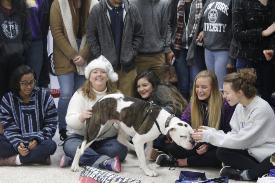 Mrs. Holmes and students attempt to calm the hyper active dog down for the photo.