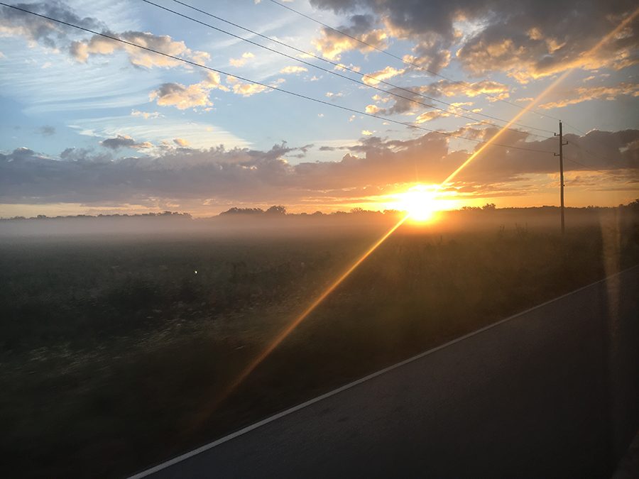 The nature and weather  of Texas is beautiful to see. Grab a camera, and go explore the great beauty Texas has to offer.