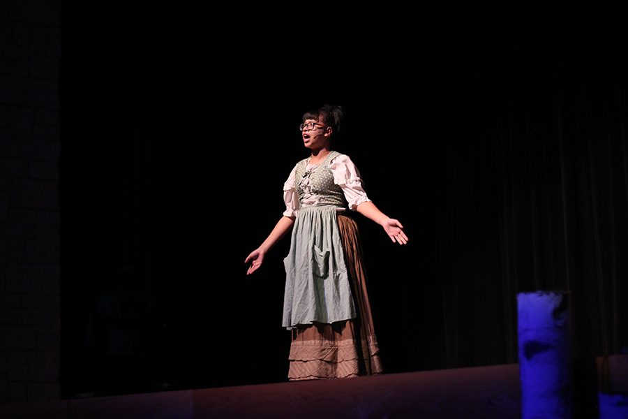The first character to appear being the lovely Cinderella who sings about wanting to go to the ball.