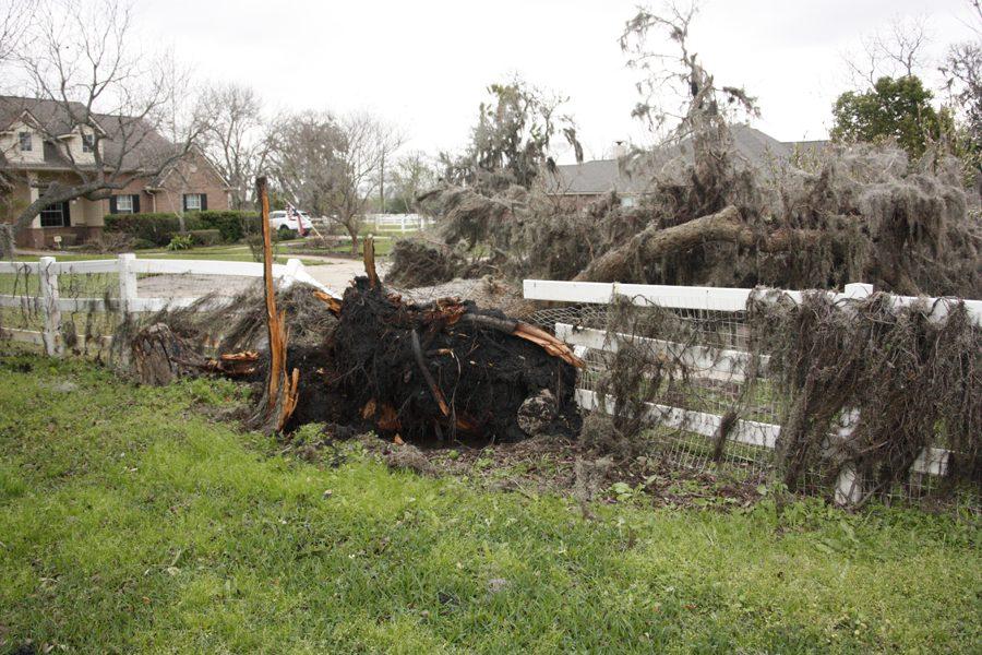 Damage done by the EF-2 tornado that touched down in Bridlewood Estates.