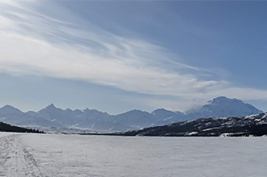 The tundra is home to thousands of diseases that are coming back to life.