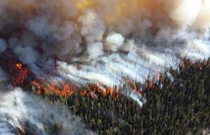Are wildfires a result of climate change? https://www.flickr.com/photos/npsclimatechange/1450328713