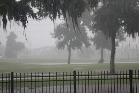 Cajun Navy Saves Thousands of Harvey Victims