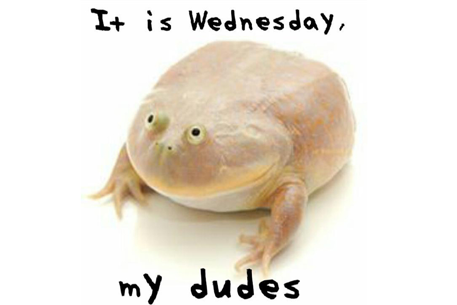 It is Wednesday my dudes.