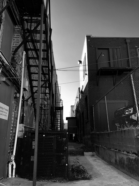 A neat alleyway extends between buildings