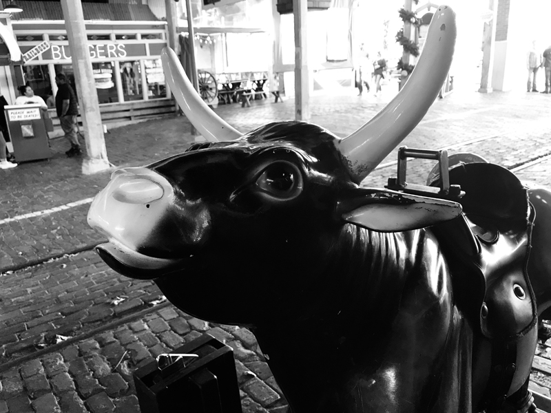 A toy longhorn looks up towards the sky