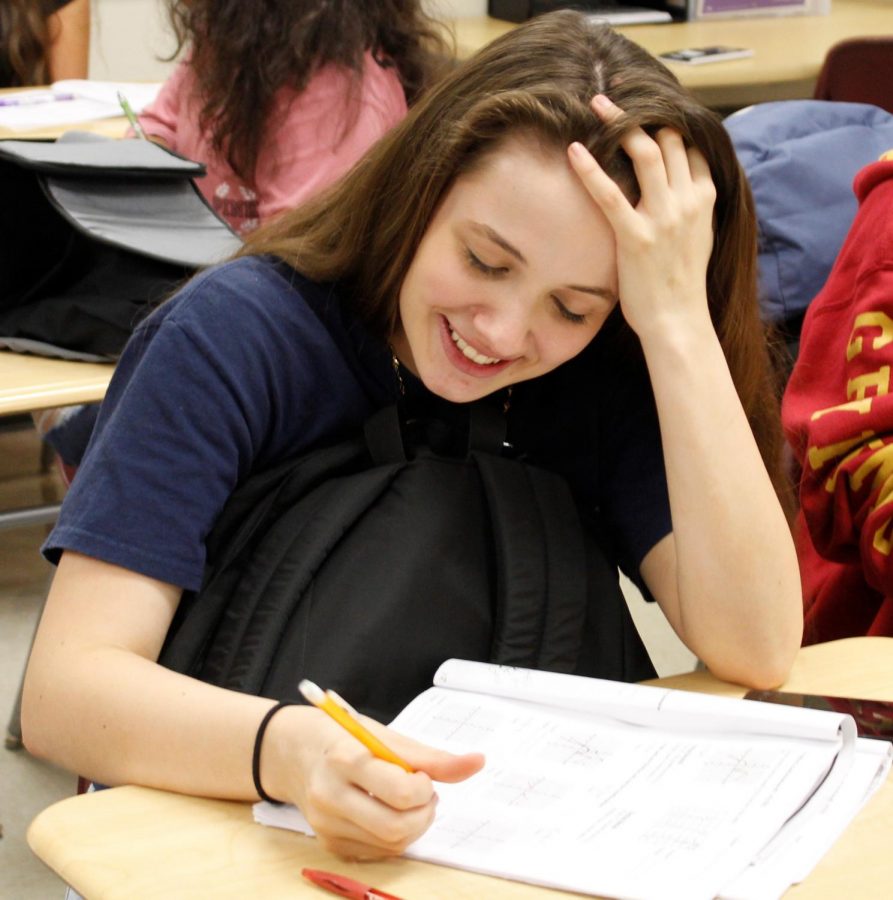 Ally Spaulding (11)  working on algebra classwork.