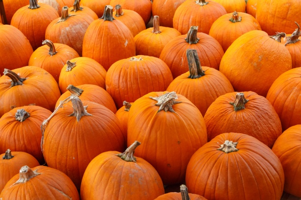 https://www.publicdomainpictures.net/en/view-image.php?image=195132&picture=orange-pumpkins-background