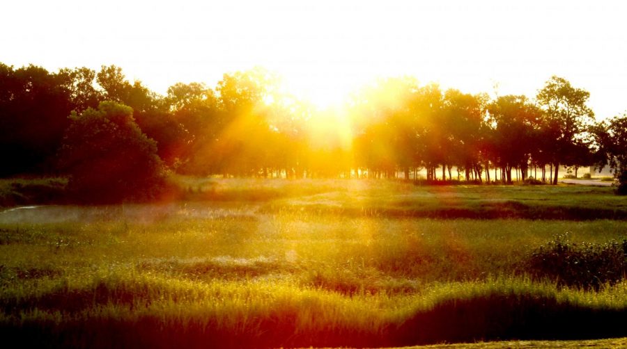 One of natures most beautiful moments, when the sun breaks through the trees and lights up the Earth with its golden rays.