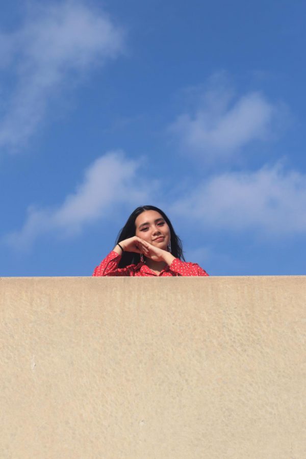 The sky's simple backdrop is a perfect background because it lets the subject be in focus.