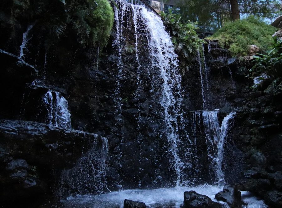 On the path of river walk are some beautiful sights to see 