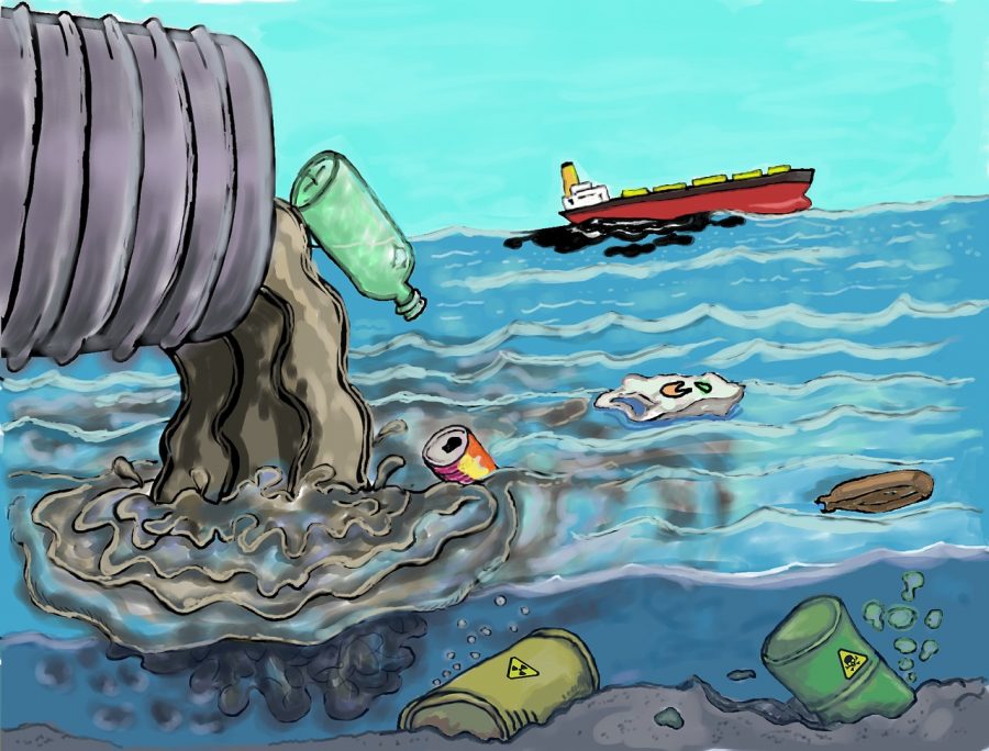 Trash+Littered+in+the+ocean+that+is+effecting+the+ocean+and+its+aquatic+animals.