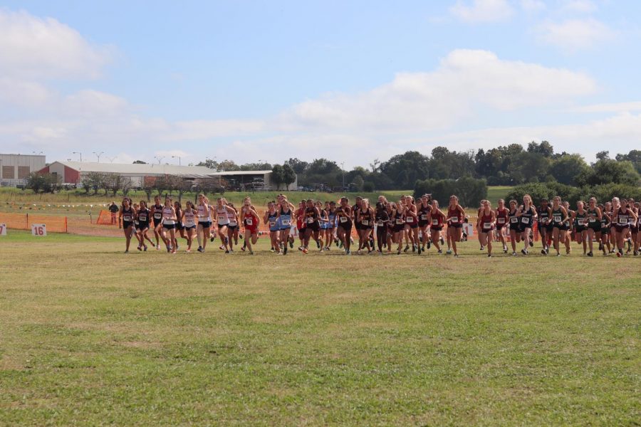 As the gun went off to begin the race, the Varsity Girls pushed to the front to start off strong. 