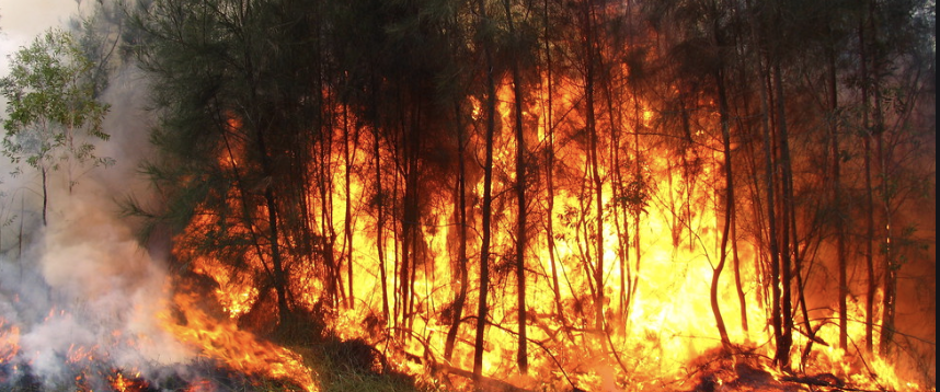 Australian citizens can't do anything but watch the flames swallow their homes.