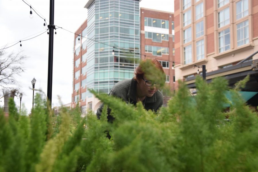 Picture of Abby Albright with fox tail ferns close up but not in focus.