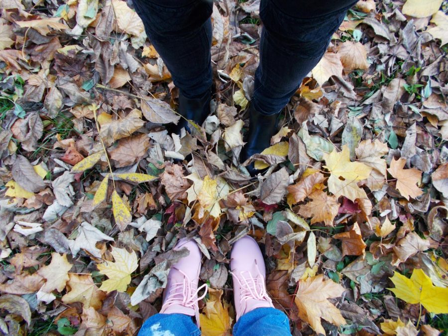 Two best friends standing in the fall leaves.